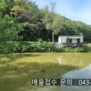 작은연못낚시터 이미지