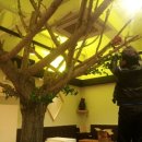 펄스온생명공학 이미지