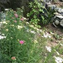 꼬꼬네농장 이미지