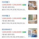 라비에벨독채풀빌라