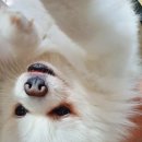 그루밍케이 이미지