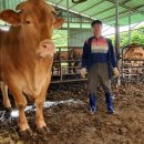 문병철농장 이미지