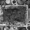 황금코다리 모라점 이미지