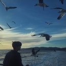 별님과바다 이미지