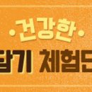 [CJ제일제당] 건강한 레몬청담기 체험단 이벤트 후기 &lt;블루베리청&gt;