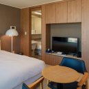 테라호텔 이미지