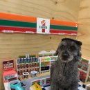 신갈유치원 이미지