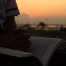 사랑이 머무는 집 이미지