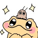 깜돌게코샵 이미지