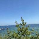 호텔 월드스테이 이미지