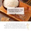천원나라 이미지