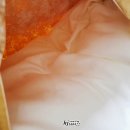 에이징포우 네이버블로그