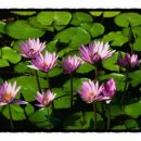 미성동자치회관 이미지