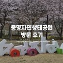 자연향기 | 포항 중명자연생태공원 방문 후기 - 자연 속 봄 향기, 벚꽃 산책