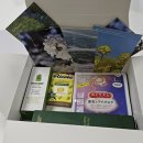 보령상상이룸센터 | 청년직장인 직무스트레스예방, 내 마음의 구급상자 자기돌봄코칭(25.11.26) 안산청년센터