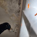 궁전아파트앞 | 대구탄성코트 궁전맨션 베란다 누수 예방 시공 후기