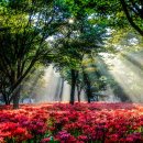 광교중앙로248번길 이미지