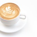 바리스타 이미지