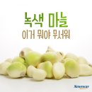 우리집마늘