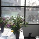 플레어셀레브 이미지
