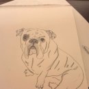 봉식동물병원 이미지