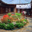 미당 | 아라뱃길 맛집 미당 솔직후기｜능이오리백숙 먹고 감탄 (+ 묵무침, 메밀비빔냉면)