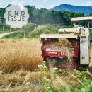 딩켈언덕 이미지