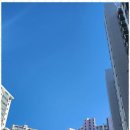 현대공인중개사 이미지