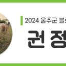 울주 피크닉 콘서트 가을 한 장 네이버블로그