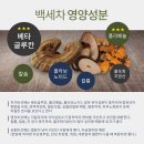 가온비스 이미지