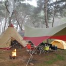 캠바이오 이미지