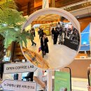 주식회사 카이엘코리아 | 서울카페쇼2025 오픈런 후기, 커피 좋아한다면 꼭 가야지