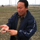 보리와철새 이미지