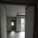 사파동215 이미지