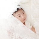 나무그늘헤어