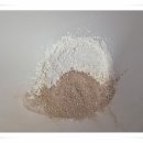 영천 참붕어 이미지