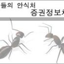 ▶디이엔티 에대한 분석자료(실적,재무상태)-디이엔티 주식 (079810)소액주주 정보-[새로운 정보 계속 업데이트] 이미지
