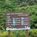 오방색권역 이미지