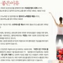 메디팜(주) 네이버블로그
