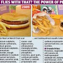 [맥도날드의비밀! ] McDonald’s burgers and fries don’t decompose. 이미지