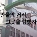 만물의거리시장 이미지