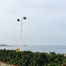 속초우리닭강정