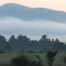 제주집2009