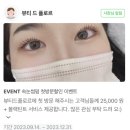[일산/정발산] &#34;뷰티드플로르&#34; 속눈썹펌 전문/신상샵 후기