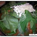 조마루뼈다귀서귀포점 이미지