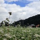 청산공인중개사