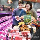 메가플러스(주) 이미지