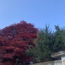반석수학신동지점 | <기억 전달자> 독서모임 후기