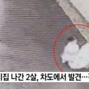아장아장 어린이집 이미지