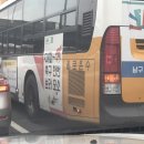 광주 시내 버스 광고 ㅎ 이미지